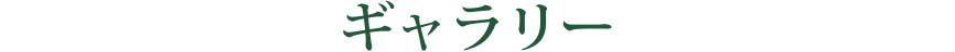 ギャラリー